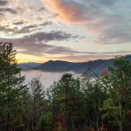 Lazy Bear Lodge Sevierville Ngoại thất bức ảnh